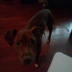 Meet your Posher, Peytin